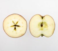 Redfree Apples